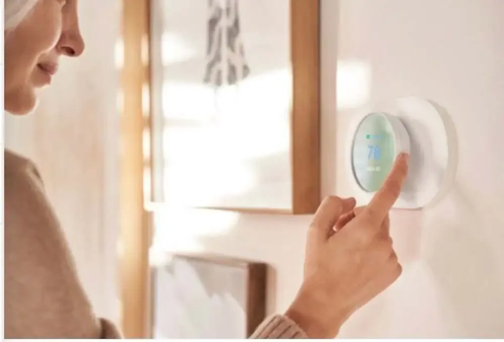 Google nest smart